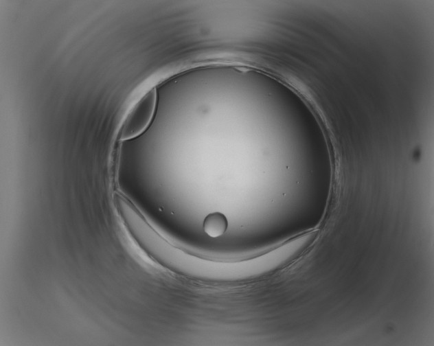 X0000116671482200912291648