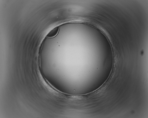 X0000116671483200912291648