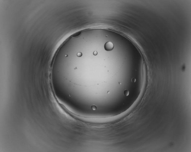 X0000116671484200912291648