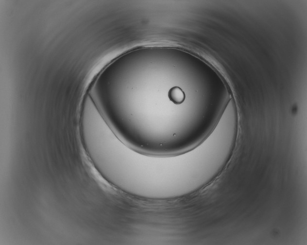 X0000116671485200912291648