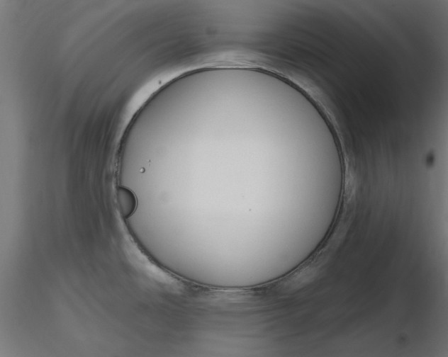 X0000116671486200912291648