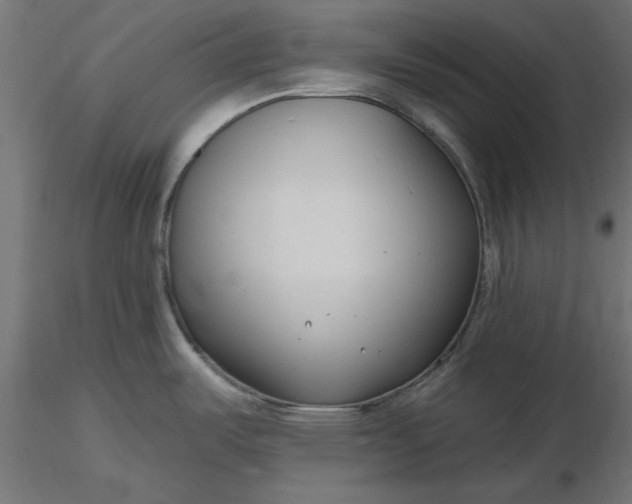 X0000116671487200912291648