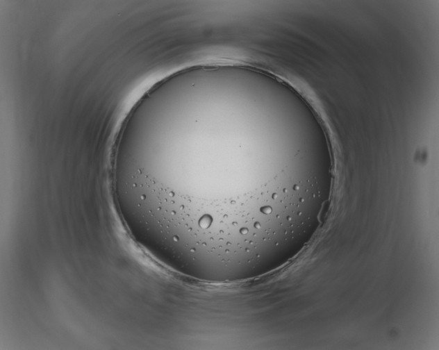 X0000116671488200912291648