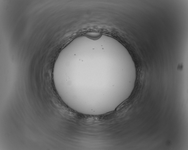 X0000116671489200912291647