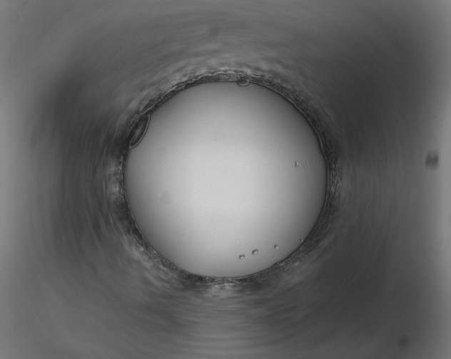 X0000116671490200912291647