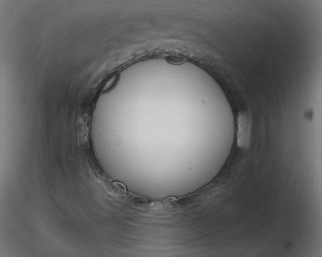 X0000116671491200912291647