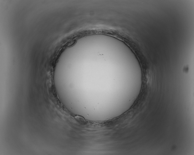 X0000116671493200912291647