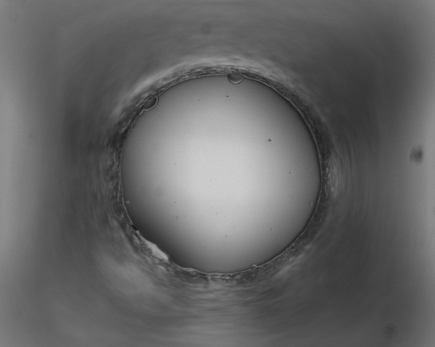 X0000116671494200912291647