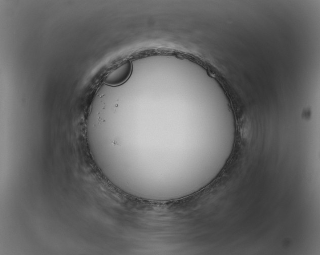 X0000116671495200912291647