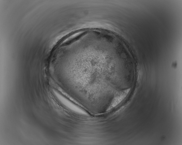 X0000116671497200912291647