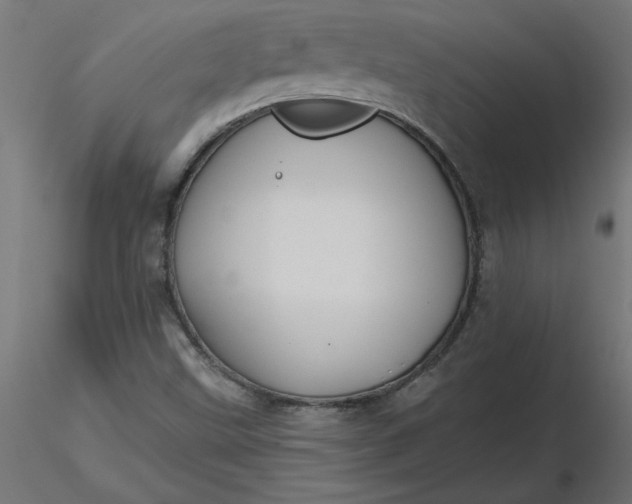 X0000116671499200912291647