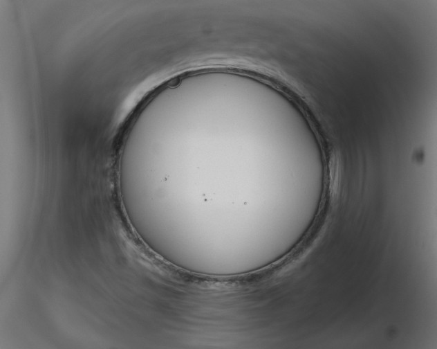 X0000116671501200912291647