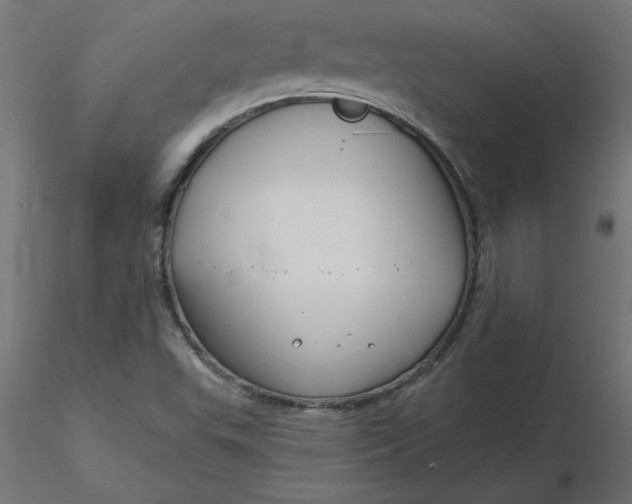 X0000116671503200912291647