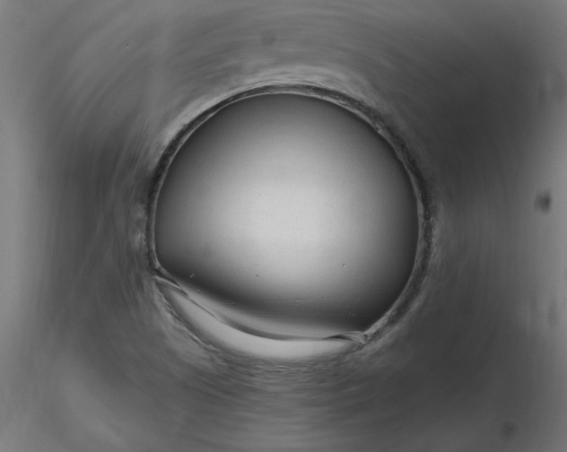 X0000116671505200912291647