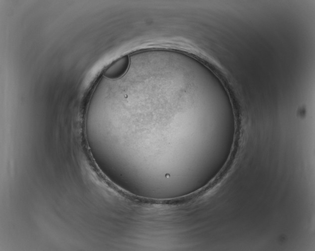 X0000116671506200912291647