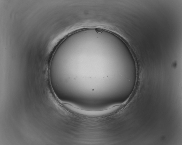 X0000116671507200912291647