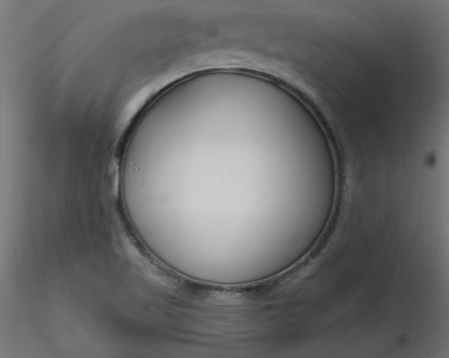 X0000116671509200912291647