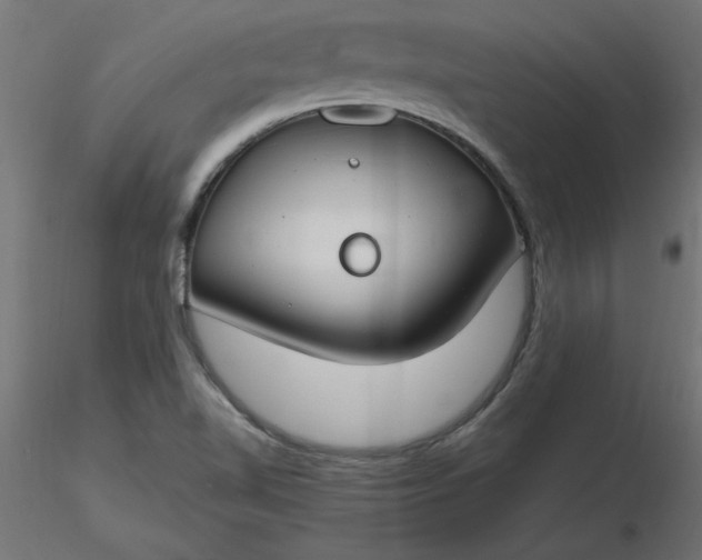 X0000116671510200912291647