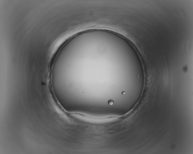 X0000116671511200912291647