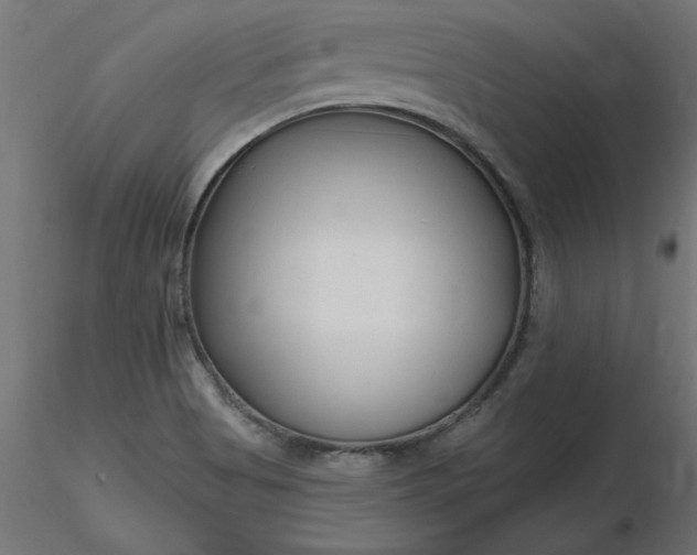 X0000116671513200912291647