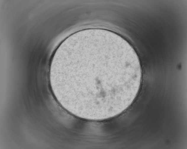 X0000116671514200912291647