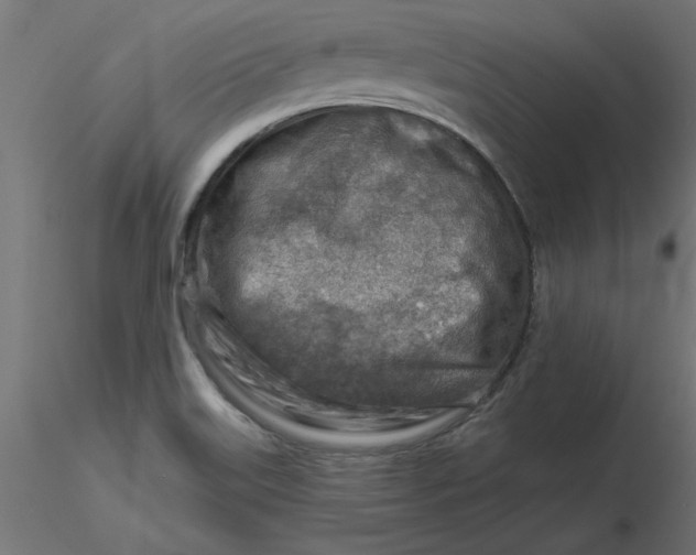 X0000116671515200912291647