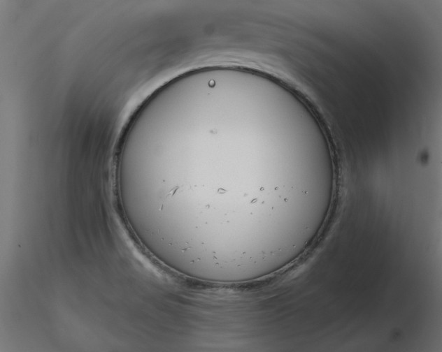 X0000116671517200912291647