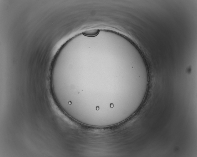 X0000116671518200912291647