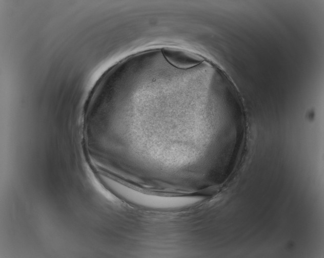 X0000116671519200912291647