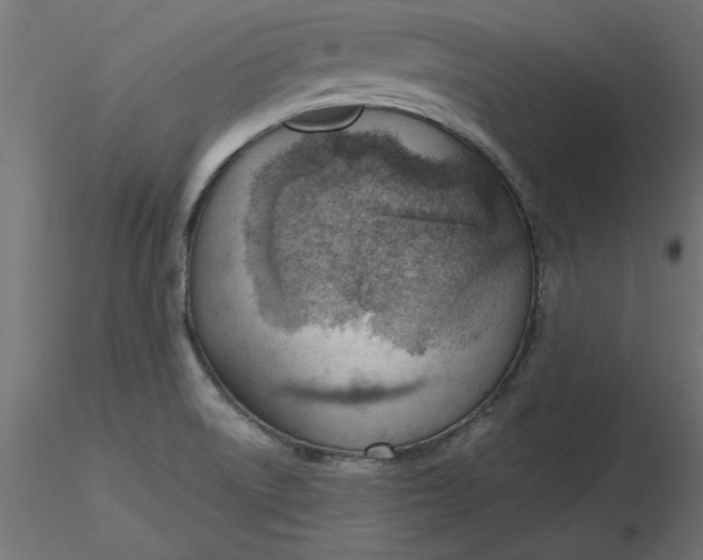 X0000116671522200912291647