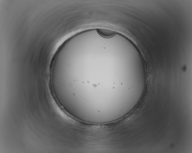 X0000116671523200912291647