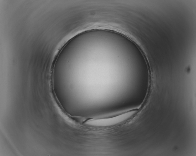 X0000116671525200912291648