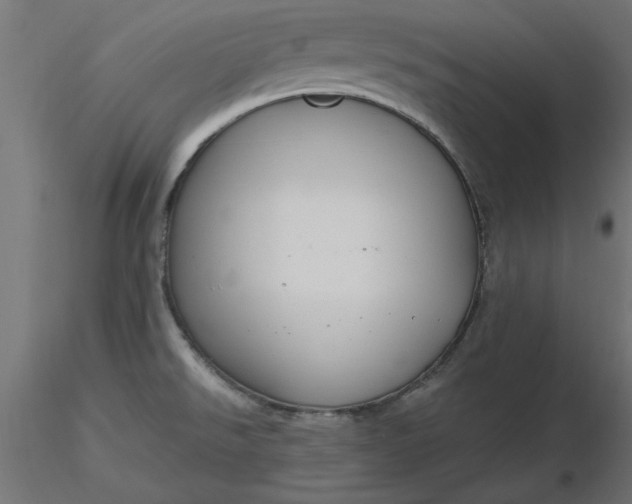 X0000116671526200912291648