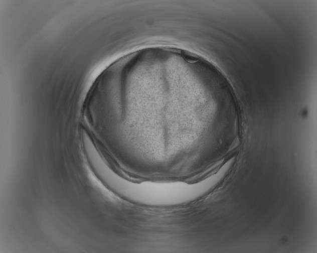 X0000116671527200912291648