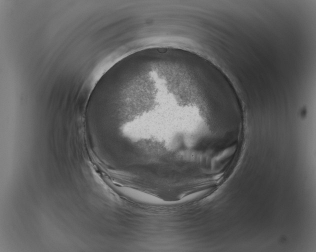 X0000116671529200912291648