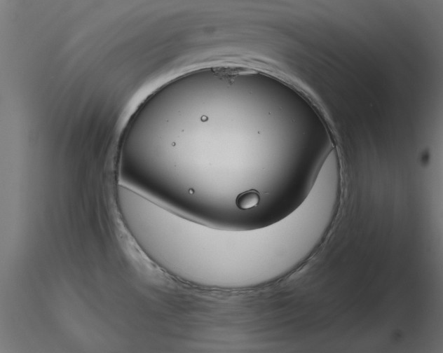 X0000116671530200912291648