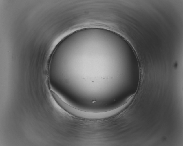 X0000116671531200912291648