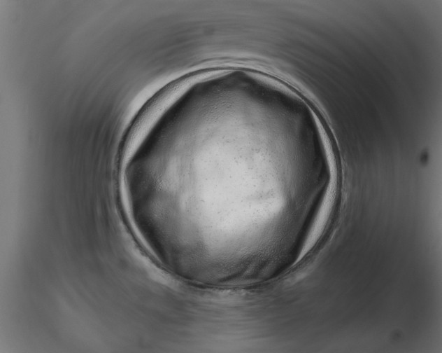 X0000116671533200912291648