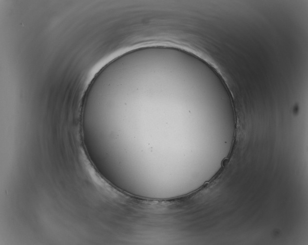 X0000116671534200912291648