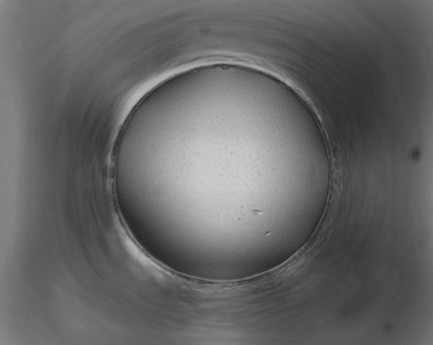 X0000116671535200912291648