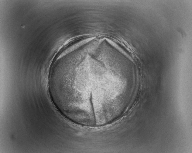 X0000116670002201001041138