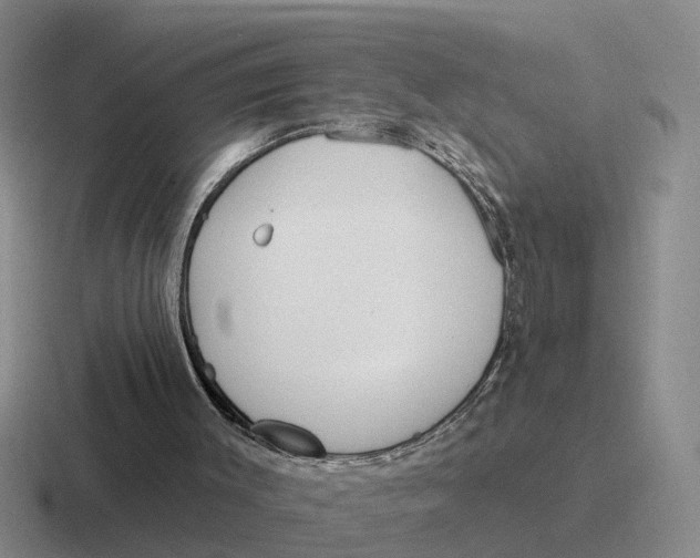 X0000116670003201001041138