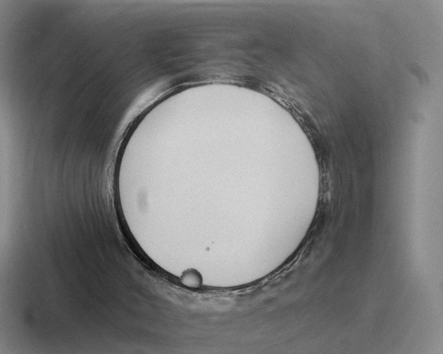 X0000116670004201001041138