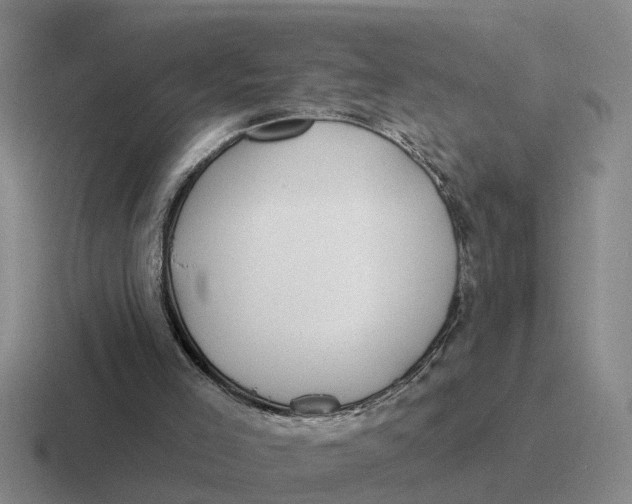 X0000116670005201001041138