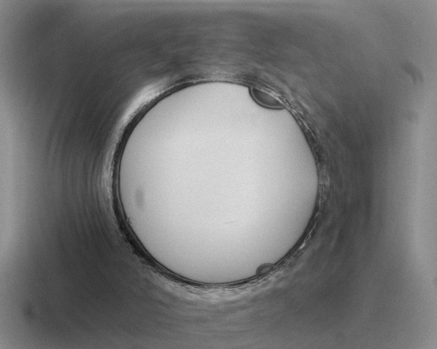 X0000116670006201001041138