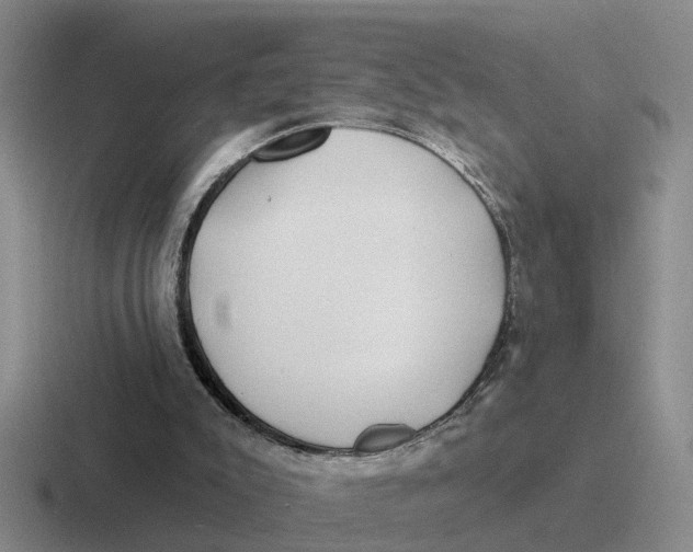 X0000116670007201001041138