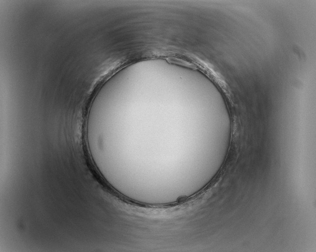 X0000116670010201001041138