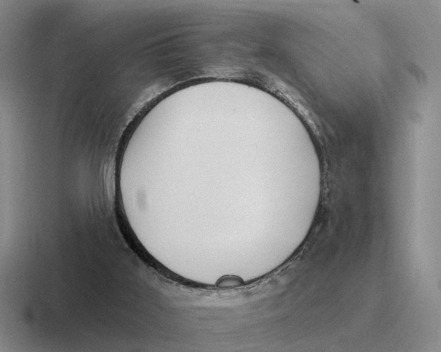 X0000116670011201001041138