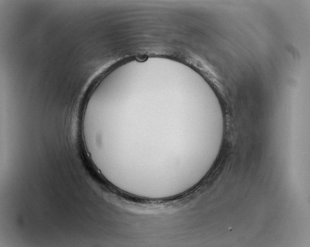 X0000116670012201001041138