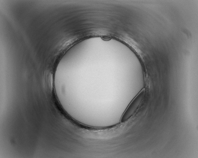 X0000116670013201001041138